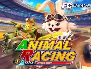 Animal Racing screenshot
